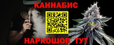 СК Кингисепп