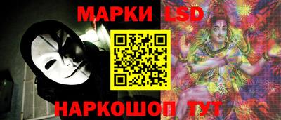 СК Кингисепп