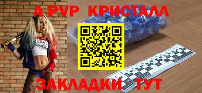 СК Кингисепп