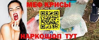 СК Кингисепп