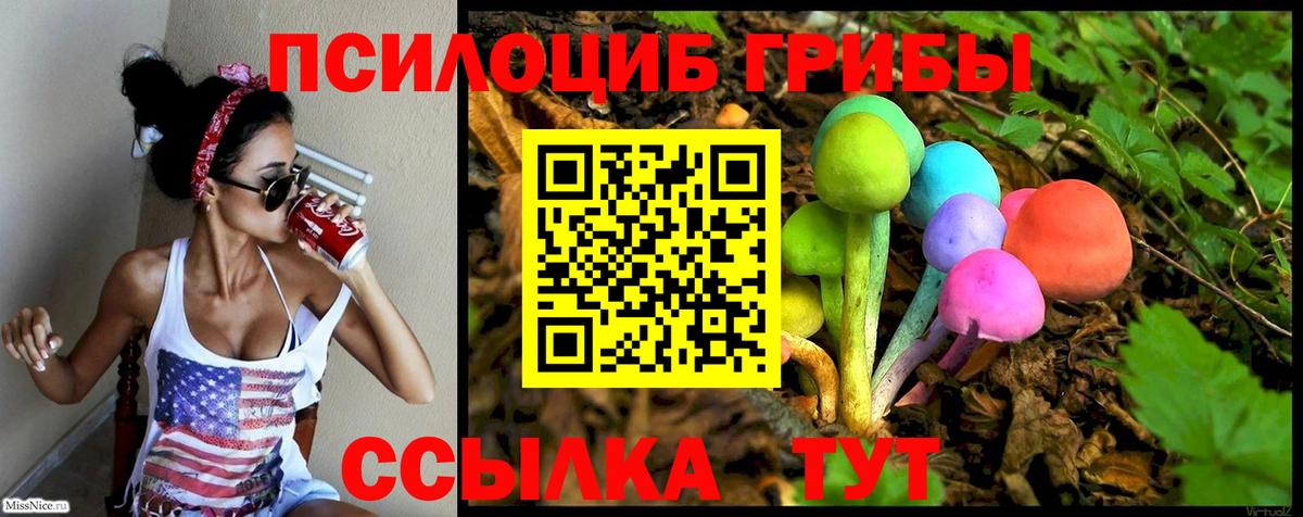 Галлюциногенные грибы ЛСД Котлас