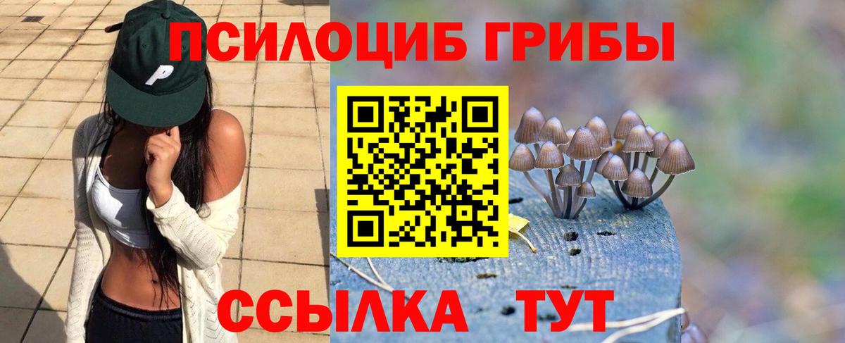Галлюциногенные грибы Magic Shrooms  Галлюциногенные грибы мухоморы  Котлас  Вход с VPN 